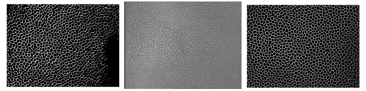 Figure 12: Performance of the smaller (left) and larger (right) networks on the given input image. Notice the relative performance in the out of focus corners especially.