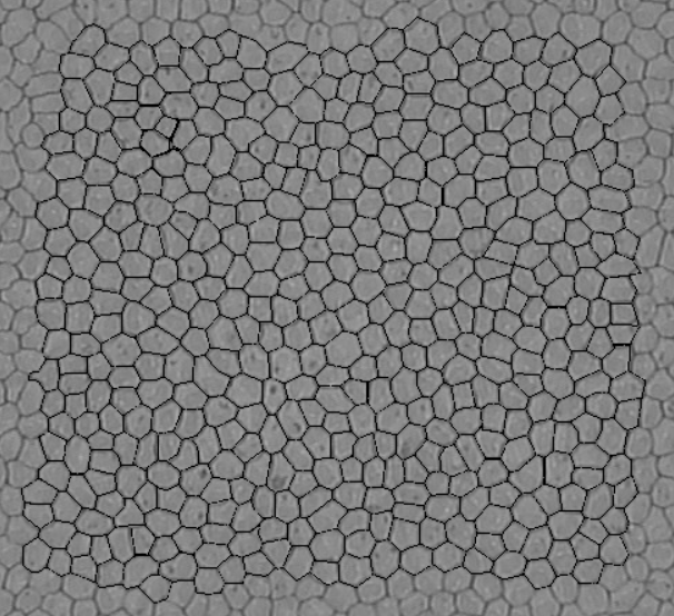 Figure 8: One example used in the increased data training.